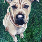 dog painting