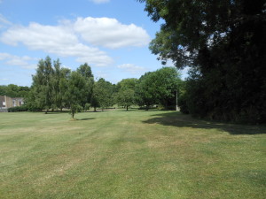 The Grange estate field